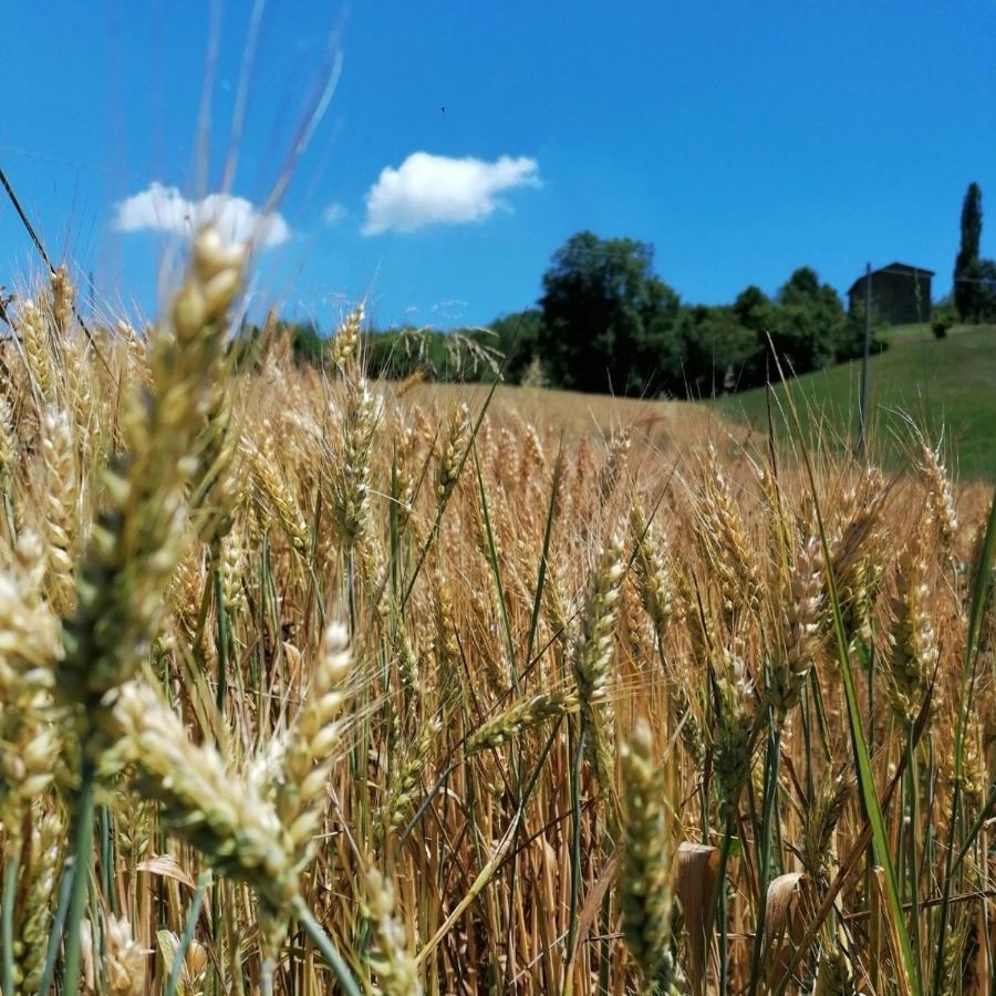 Вилла Az. Agr. Agriturismo Nonna Nella Guiglia Экстерьер фото
